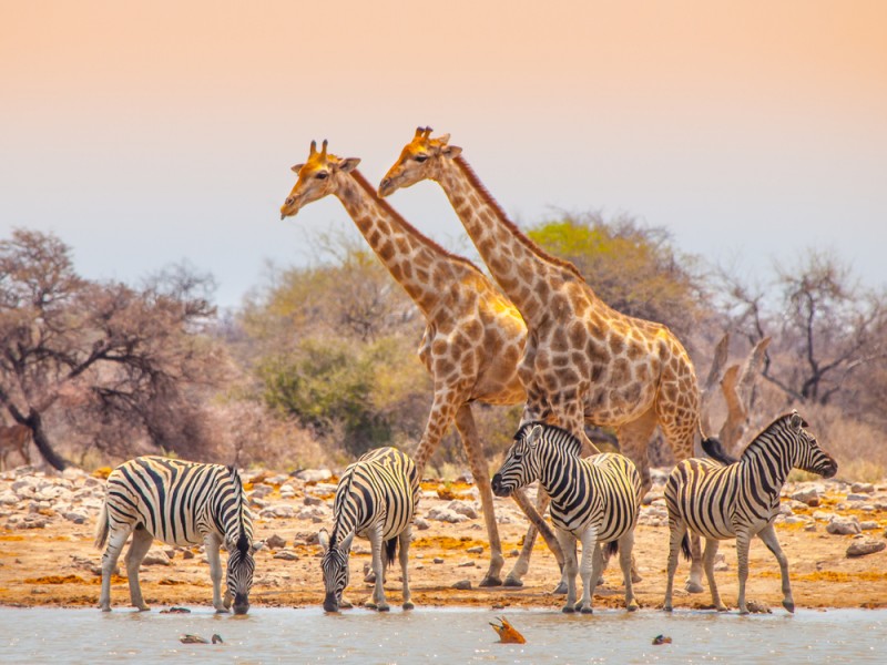 La Namibie : un pays aux paysages spectaculaires