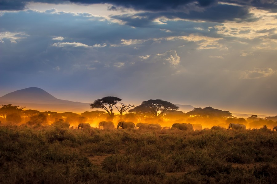 Les paysages d'afrique : a quoi s'attendre ?