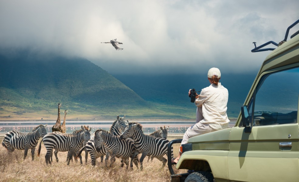 Animaux safari : voyage au cœur de la Tanzanie !