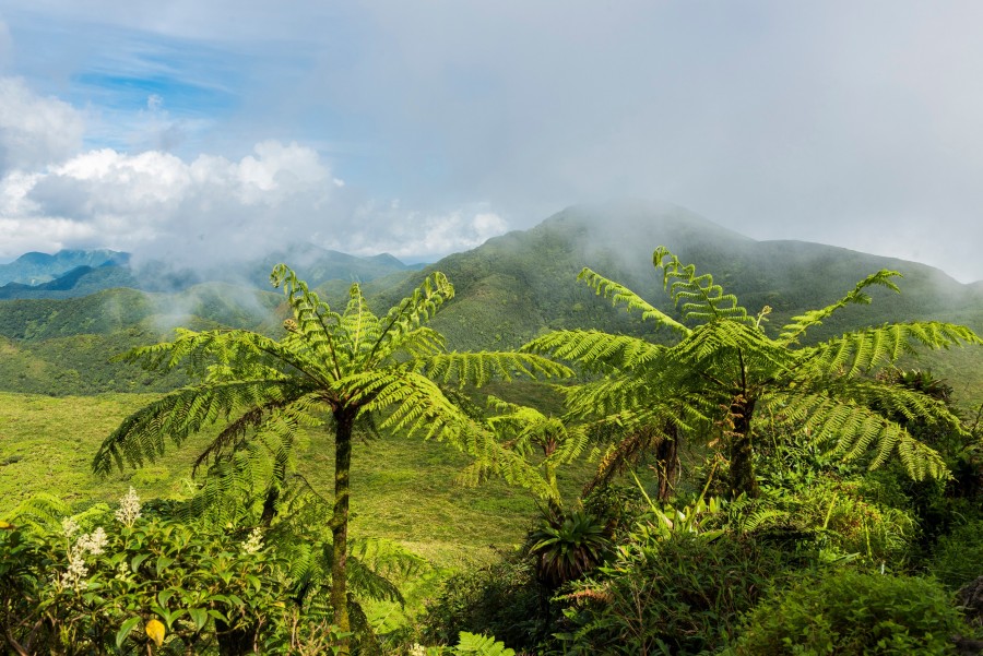 Comment visiter la Soufrière de Guadeloupe ?