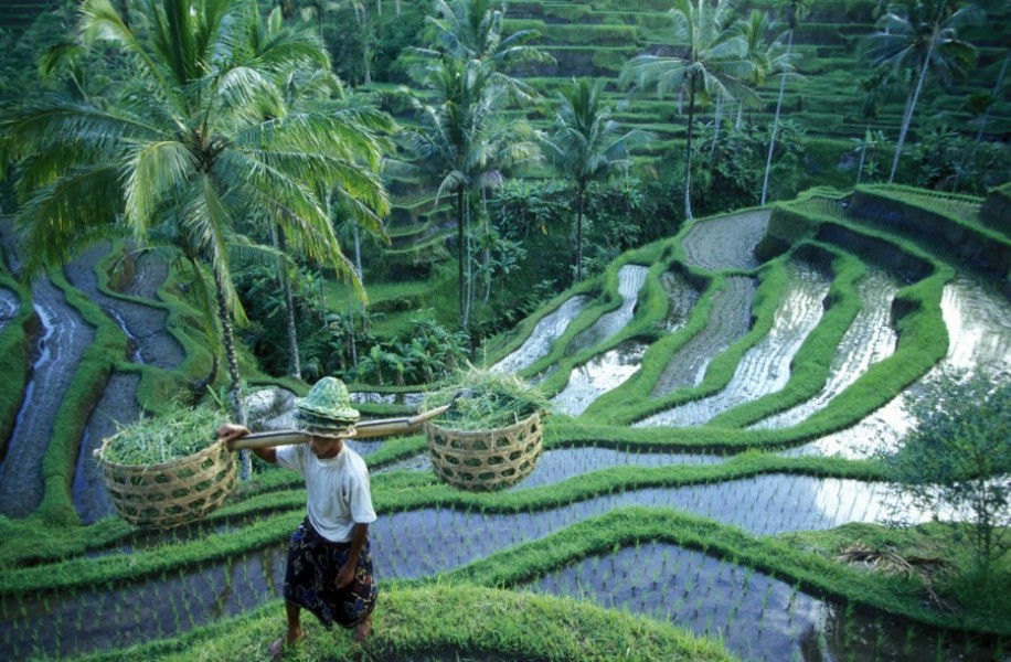 Denpasar : que visiter dans la ville principale de Bali ?