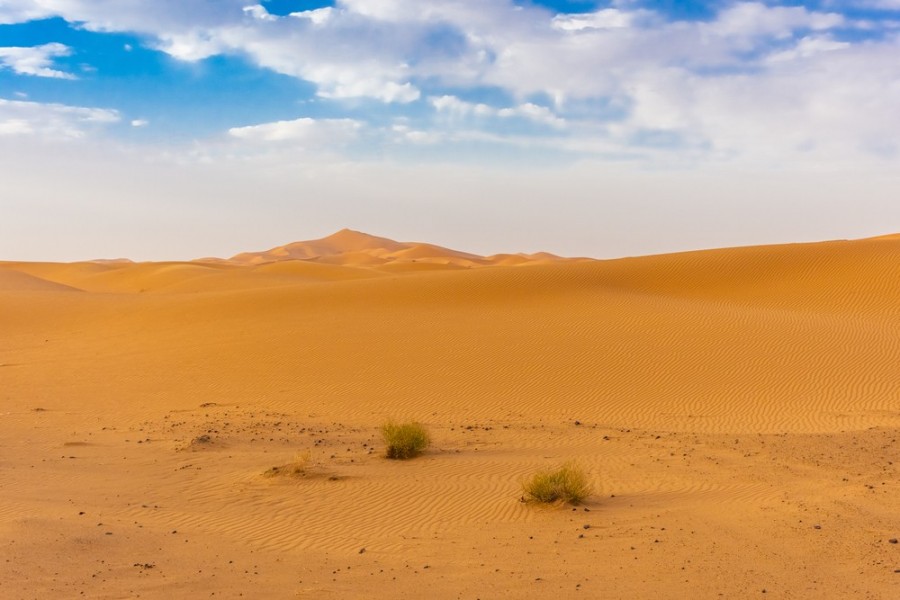 Découverte du désert marocain : un voyage inoubliable
