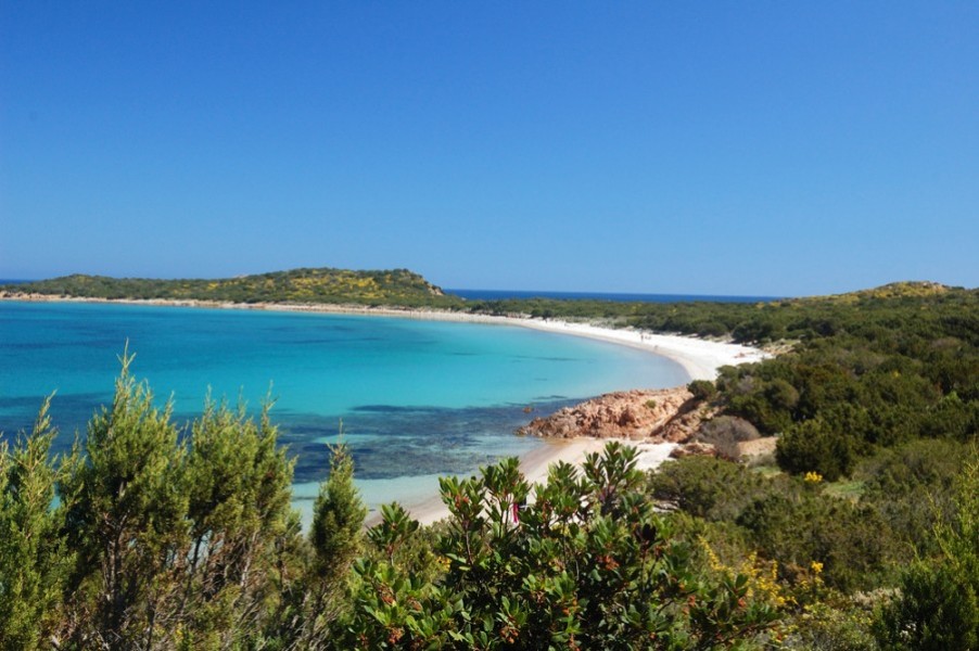 L'Île de Cavallo : un paradis secret à découvrir en Corse