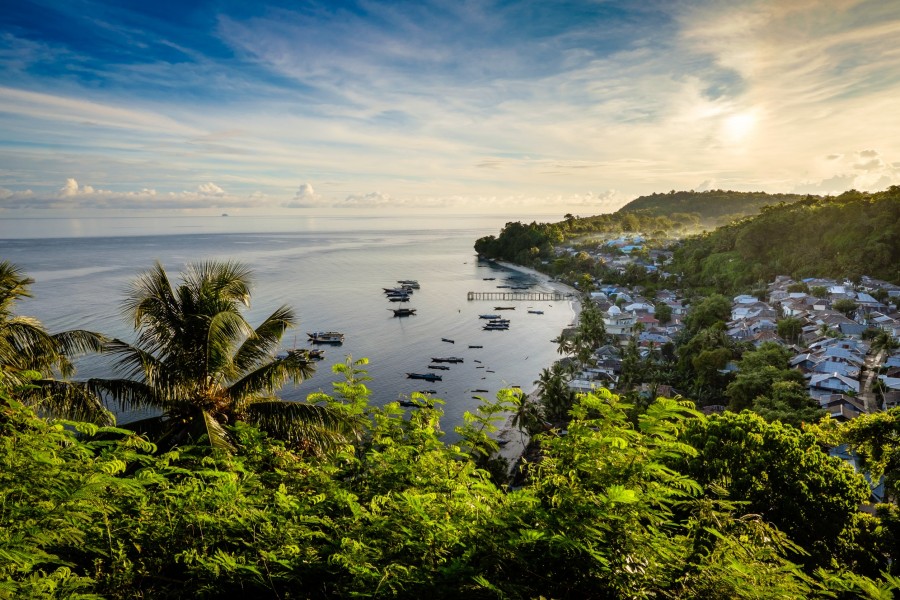 Découverte des îles Moluques : un voyage inexploré