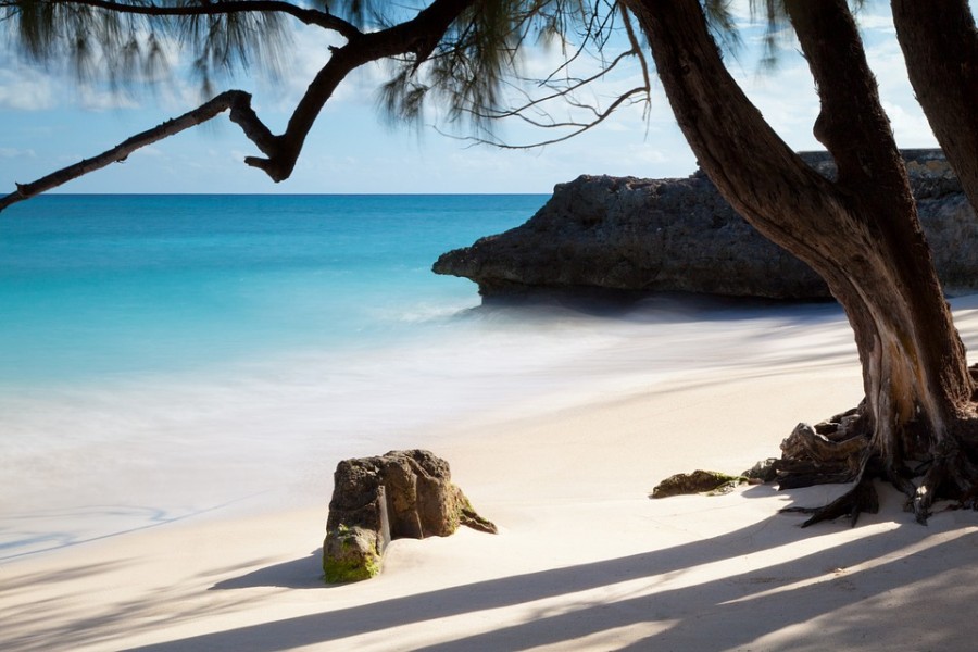 Les barbades : rendez-vous au paradis !
