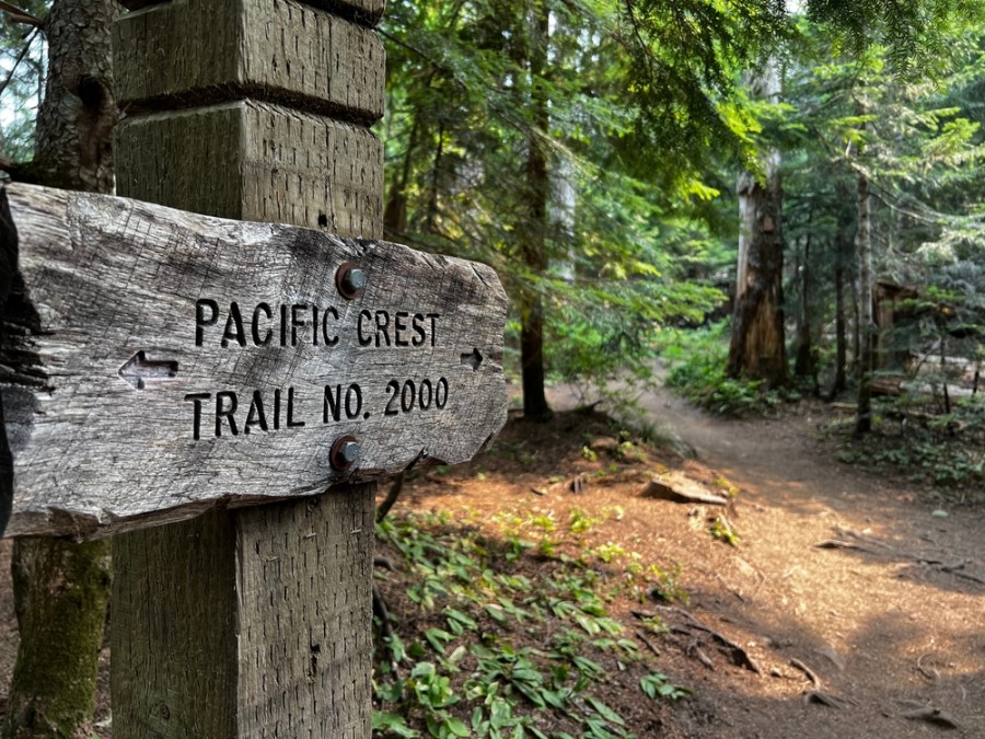 Qu'est-ce que le Pacific Crest Trail et comment le parcourir ?