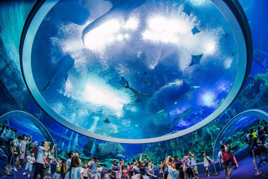 Plus grand aquarium du monde : le top 10 des lieux à visiter !