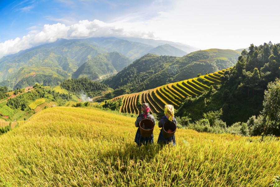 Pourquoi aller à Sapa ?