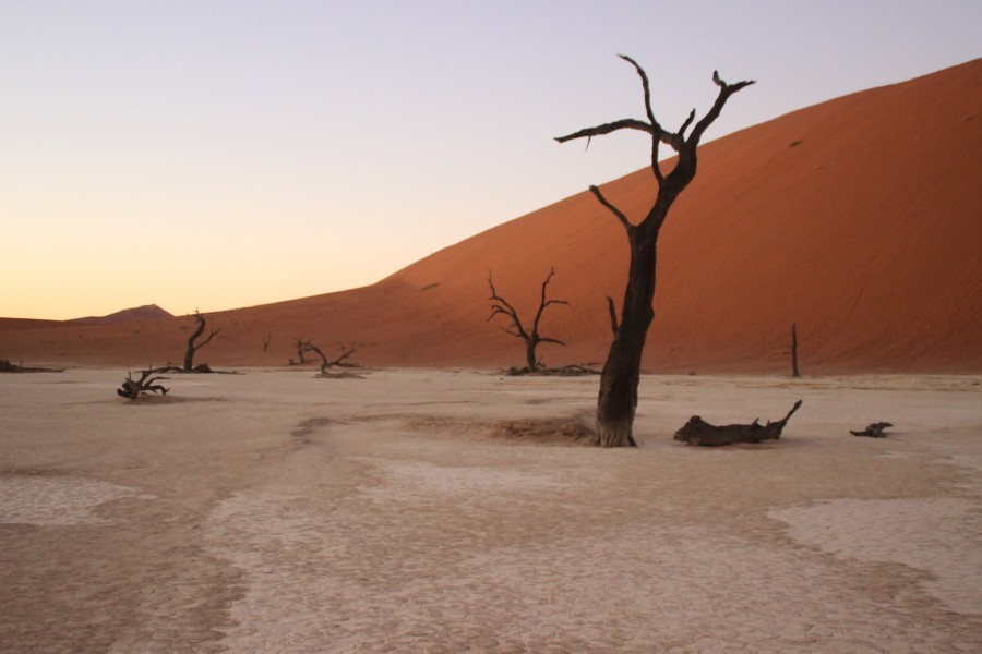 Quel est le nom du désert de Namibie ? Quel est le nom du désert de Namibie ?