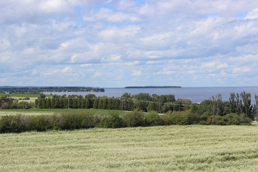 Qu'est-ce qui rend le Lac Saint Jean si spécial ?