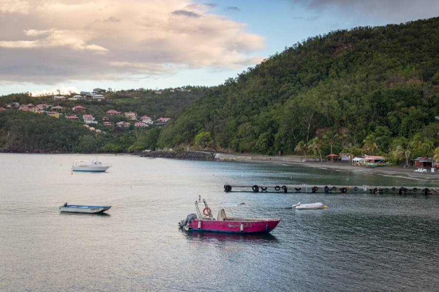 Reserve Cousteau : les conseils pour un spot de plongée incontournable en Guadeloupe