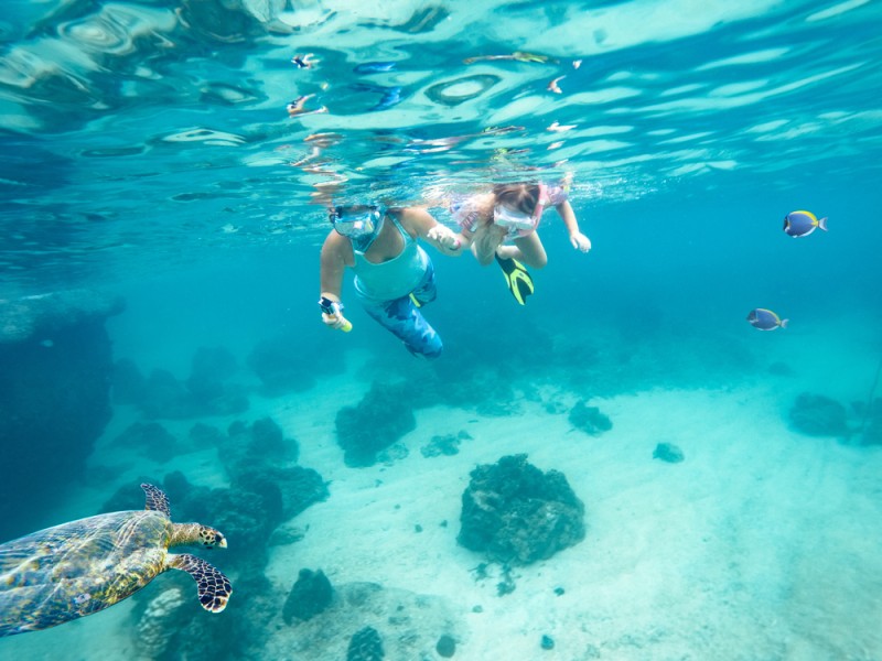 Snorkeling Guadeloupe : quels sont les meilleurs spot de cette destination ?