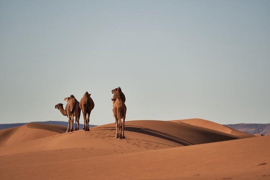 Voyage au Maroc : un lieu exceptionnel de tourisme